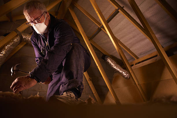 Best DIY Insulation Kits and Guidance in West Chester, PA